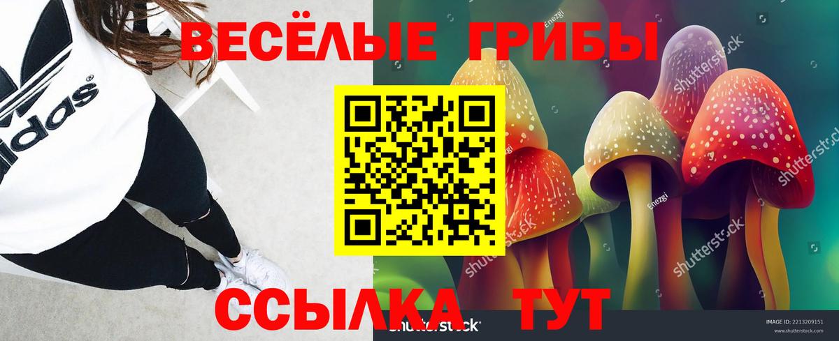 купить  цена  Вход с VPN  Псилоцибиновые грибы мухоморы  Альметьевск  Галлюциногенные грибы мухоморы 